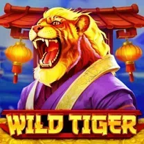 592BET
